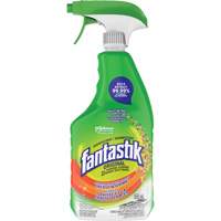 D&eacute;sinfectant nettoyant polyvalent Fantastik, 650 ml, Bouteille &agrave; g&acirc;chette - SC Johnson 10062913001397