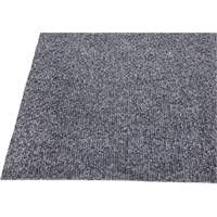 Ranier Commercial Entrance Matting, Wiper/Scraper, 3-1/2' x 15' x 3/8", Charcoal - Edgewood Matting RNR201015