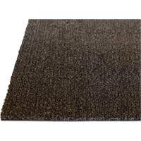 Palliser Indoor Matting, Wiper/Scraper, 3-1/2' x 6' x 5/16", Anglis - Edgewood Matting PLR501006
