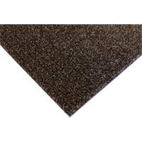 Palliser Indoor Matting, Wiper/Scraper, 3-1/2' x 6' x 5/16", Anglis - Edgewood Matting PLR501006