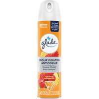 Air Freshener, Hawaiian Breeze&reg;, Aerosol Can - SC Johnson 10062300009203