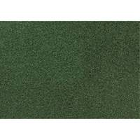 Tapis de sol Black Diamond 3000, 12" x 18", Nettoyage/Polissage, Vert - Americo 44241218