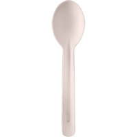 Cuill&egrave;res compostables en bagasse - Globe 6076
