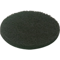 Tampon pour plancher, &agrave; r&eacute;curer, Vert - Motor Scrubber MS1062