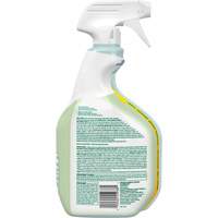 CloroxPro Clorox EcoClean Disinfecting Cleaner, 946 ml, Trigger Bottle - Clorox 55938