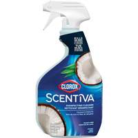 Vaporisateur nettoyant d&eacute;sinfectant multi-surfaces, 709 ml, Bouteille &agrave; g&acirc;chette - Clorox 10055500559807