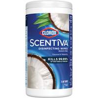 Lingettes d&eacute;sinfectantes, 75 lingettes - Clorox 10055500559883