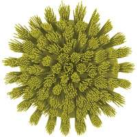 Brosse ronde HyDrive pour perceuse, Soies Tr&egrave;s ferme, Longueur de 3-1/10", Jaune - Vikan 87006