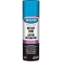 Pro Line Instant Shine for Plastic Surfaces, 11 oz., Aerosol Can - Sprayway SPRA57576