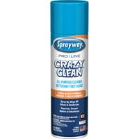 Nettoyant tout usage Pro Line Crazy Clean<sup>MD</sup>, 19 oz., Canette aérosol JQ984 | SCN Industrial