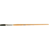Artist Paint Brushes