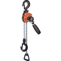 Hoists | SCN Industrial