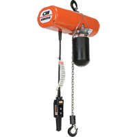 Lodestar Electric Chain Hoists, 15' Lift, 500 lbs. (0.25 tons) Capacity, 32 FPM - Columbus Mckinnon 9358-S15-2792