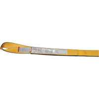 &eacute;lingues de levage en polyester, Pli Simple, Oeillets renvers&eacute;s, Type 4, 3" la x 4' lo, Capacit&eacute; verticale 4700 lb - Ben-Mor EE1903Y04T4