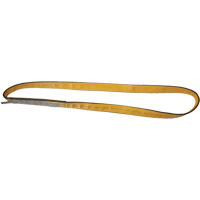 &eacute;lingues de levage en polyester, Pli Simple, Sans fin, Type 5, 2" la x 3' lo, Capacit&eacute; verticale 6200 lb - Ben-Mor EN1902Y03T5
