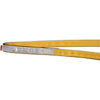 &eacute;lingues de levage en polyester, Pli Simple, Sans fin, Type 5, 2" la x 3' lo, Capacit&eacute; verticale 6200 lb - Ben-Mor EN1902Y03T5