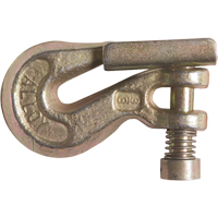 Clevis Grab Hook with Latch - Grade 70 - Ben-Mor CGH70L-038