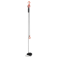 Mini palan &agrave; levier, Lev&eacute;e 20', Cabacit&eacute; 500 lb (0,25 tonne), Chaîne en Acier - Vestil ELH-05-20