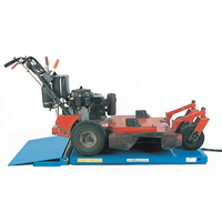 LoProfile Cart Approach Ramp - Bishamon LXSERIES-CARTRAMP