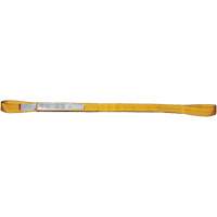 &eacute;lingue de levage, Pli Double, Oeillet double, Type 3, 2" la x 20' lo, Capacit&eacute; verticale 6200 lb - Ben-Mor EE2902Y20T3