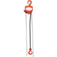 Chain Hoist, 20' Lift, 1000 lbs. (0.45 tons) Capacity, Alloy Steel Chain - KLETON 