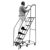 Pivoting Rolling Ladders