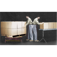 Spring-Operated Pallet Lifters - Pallet Pal&reg;, 43-5/8" L x 43-5/8" W, 4500 lbs. Cap. - Southworth 4431283