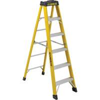 Contractor and Utility Ladders | SCN Industrial