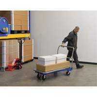 Platform Cart, 48" L x 24" W, 1500 lbs. Capacity, Mold-on Rubber Casters - Vestil NPCT