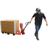 Transpalette, 48" lo x 27,5" la, Capacit&eacute; de 5000 lb - Vestil PM-2748-SCL-LP