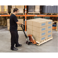 Transpalette manuel robuste, Acier, 48" lo x 20,5" la, Capacit&eacute; 5500 lb - KLETON 