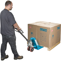 Transpalette manuel robuste, Acier, 48" lo x 20-1/2" la, Capacit&eacute; 6600 lb - KLETON 