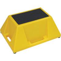 Escabeaux industriels, 28" x 20" x Hauteur 13" - Techstar Plastics Inc SS#1
