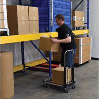 Fold-Up Platform Truck, Stainless Steel, 300 lbs., 28" L x 16" W, 33-1/2" High - Vestil FAPT-1628