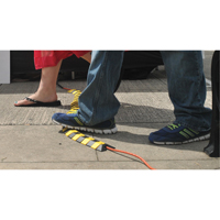 Syst&egrave;me de protection de c&acirc;bles Ultra-Sidewinder - petit , 39,5" x 3" x 0,75", 32000 lb (16 tonnes) - Ultratech 1800