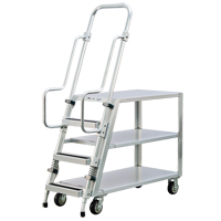 Chariot de pr&eacute;paration en aluminium avec &eacute;chelle, Aluminium, 22" la x 51-1/2" p, 3 tablettes, Capacit&eacute; 800 lb - New Age Industrial 99555