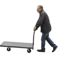Platform Truck, 48" L x 24" W, 2000 lbs. Capacity, Rubber Casters - Vestil ECSPT-2448
