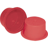 JIC Flared Fitting Plug, 2-1/2", MPT, Plastic -  