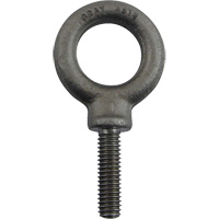 Alloy Steel Eye Bolt, 1" Dia., 1-1/4" L, 1480 lbs. (0.74 tons)/1480 lbs. Capacity - Gray Tools AS12