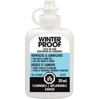 Lock De-Icer - Recochem 35-276WP
