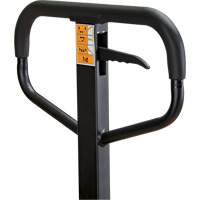 Manual Pallet Truck, Steel, 48" L x 21" W, 5500 lbs. Capacity - KLETON 