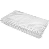B&acirc;che isol&eacute;e, Poly&eacute;thyl&egrave;ne, Blanc, 20' x 12' x 8 mils - KLETON 