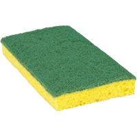 &eacute;ponge &agrave; r&eacute;curer pour travaux moyens Scotch-Brite, &agrave; r&eacute;curer, 3-3/5" la x 6-1/10" l - 3M H-74-6.25X3.5