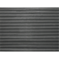 Tapis de vestibule