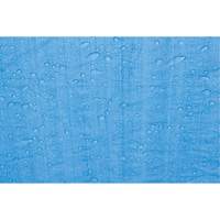 B&acirc;che, Standard, Bleu, 60' x 40' x 4 mils - KLETON 