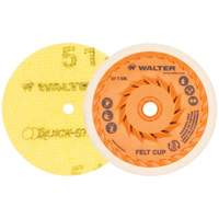 Quick-Step Instant Polish Discs, 5" Dia. - Walter Surface Technologies 07T506