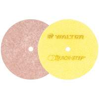 Quick-Step Instant Polish Discs, 5" Dia. - Walter Surface Technologies 07T507