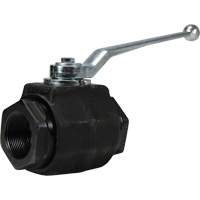 High Pressure Full-Bore Ball Valve, Steel, Manual, FNPT x FNPT - Dixon Group HPBV10