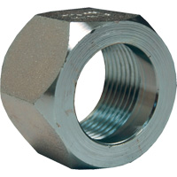 &eacute;crou hexagonal de minage Dixon, 1", Zingu&eacute;, Filetage NPT - Dixon Group MFN16