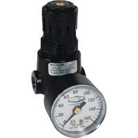 Wilkerson Miniature Regulator R04, 1/4" NPT, 300 psi Max. PSI, Standard - Dixon Group R03-02RG